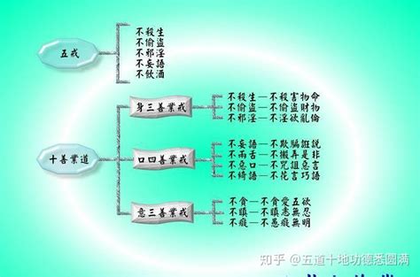 善事例子|列举一下善事有哪些？